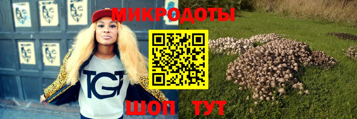 Черкесск  Галлюциногенные грибы GOLDEN TEACHER  Вход с VPN 
